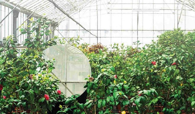 Archisearch - Γεωμετρίες | Εγκαίνια έκθεσης | Στέγη του Ιδρύματος Ωνάση