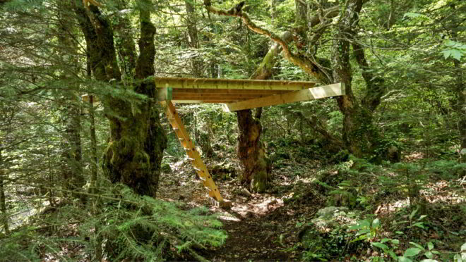 Archisearch - Δενδρόσπιτα | Διπλωματική εργασία από τον Αντώνη Ελεφάντη