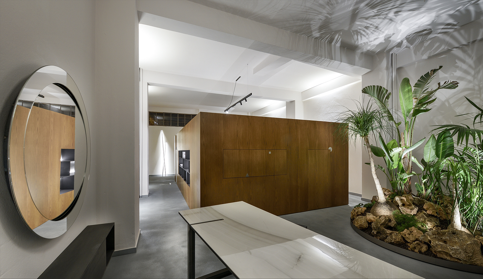 Archisearch Jungle Office in Thessaloniki, Greece | Louizi – Louizis Architects