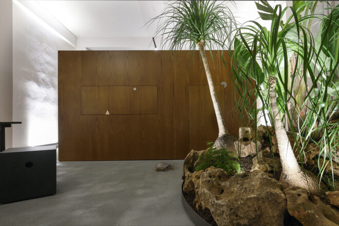 Archisearch - Jungle Office in Thessaloniki, Greece | Louizi – Louizis Architects