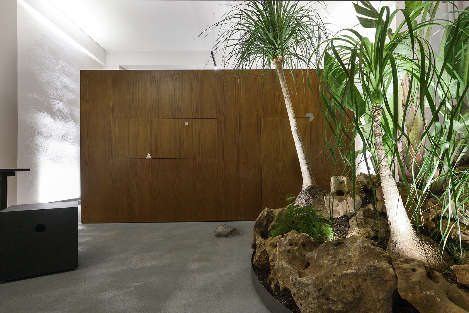 Archisearch Jungle Office in Thessaloniki, Greece | Louizi – Louizis Architects