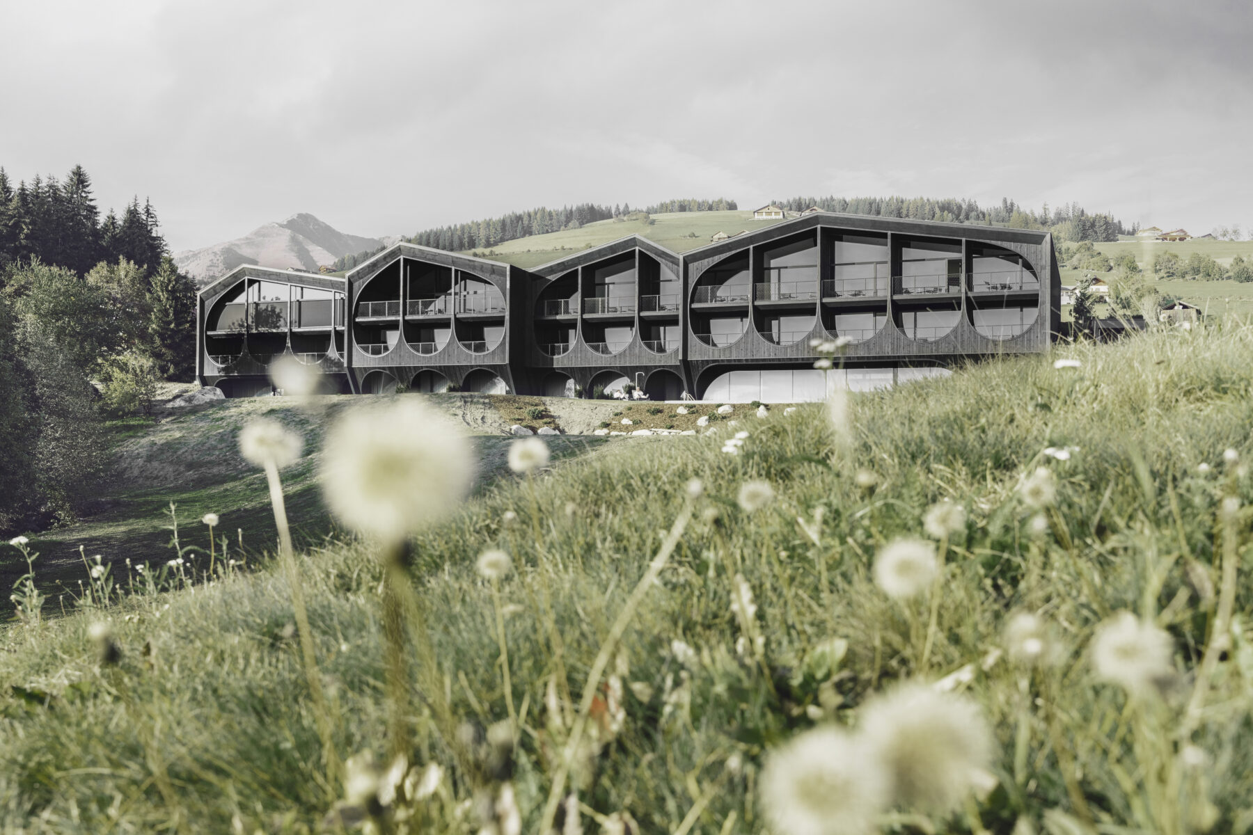 Archisearch Hotel Milla Montis in Maranza, South Tyrol, Italy | Peter Pichler Architecture