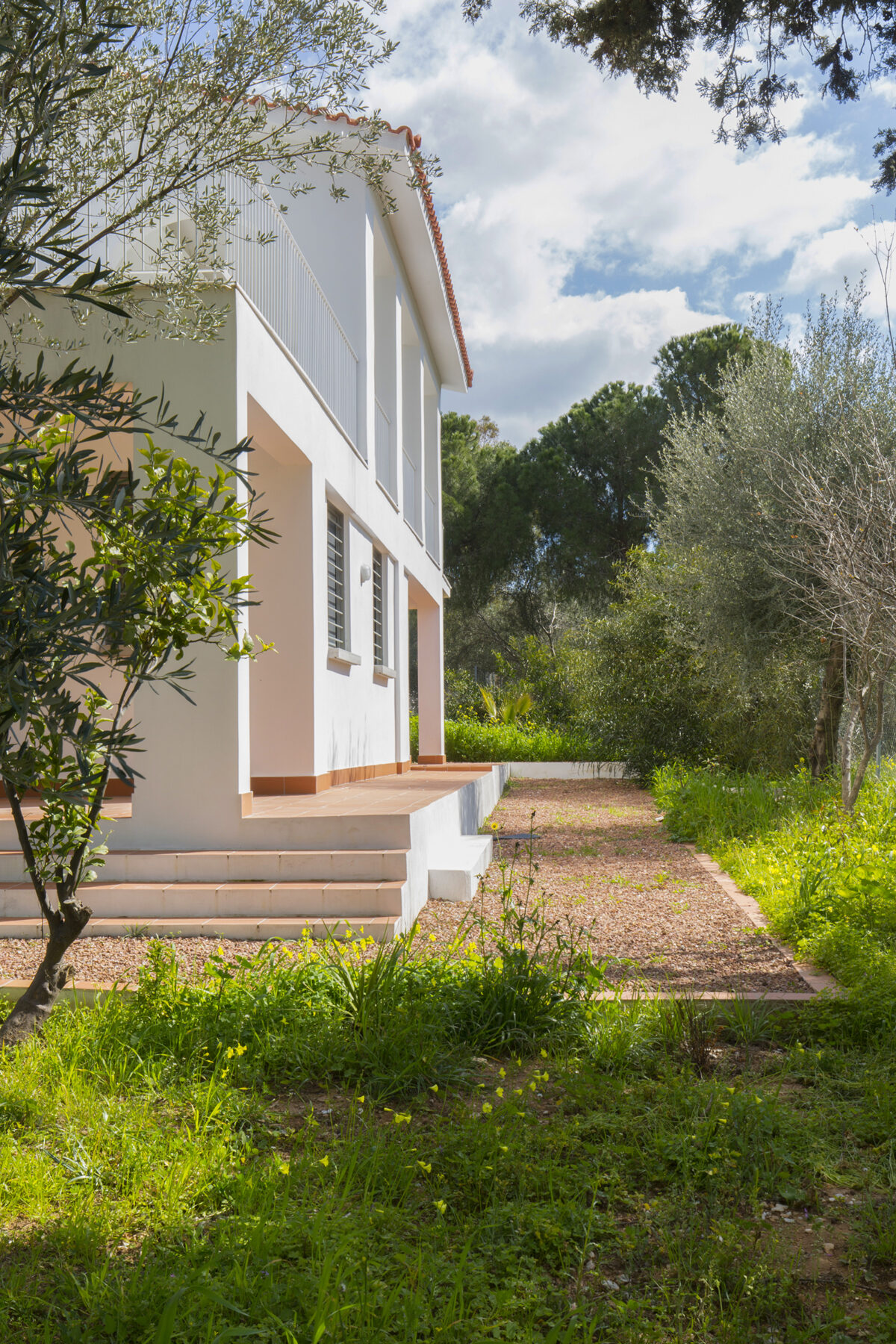 Archisearch House renovation in Anavissos | Evita Fanou Architecture & Design