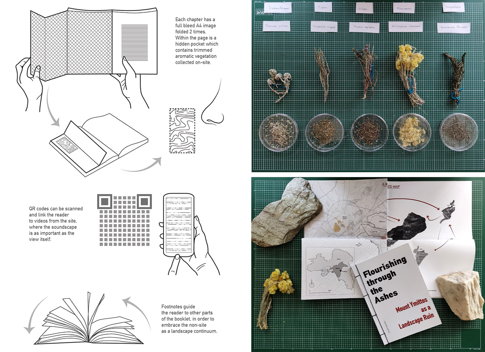 Archisearch Flourishing through the Ashes: Mount Ymitos as a Landscape Ruin by Alexandra Souvatzi | Winner of the Student Dissertation Award of the Landscape Institute 2022