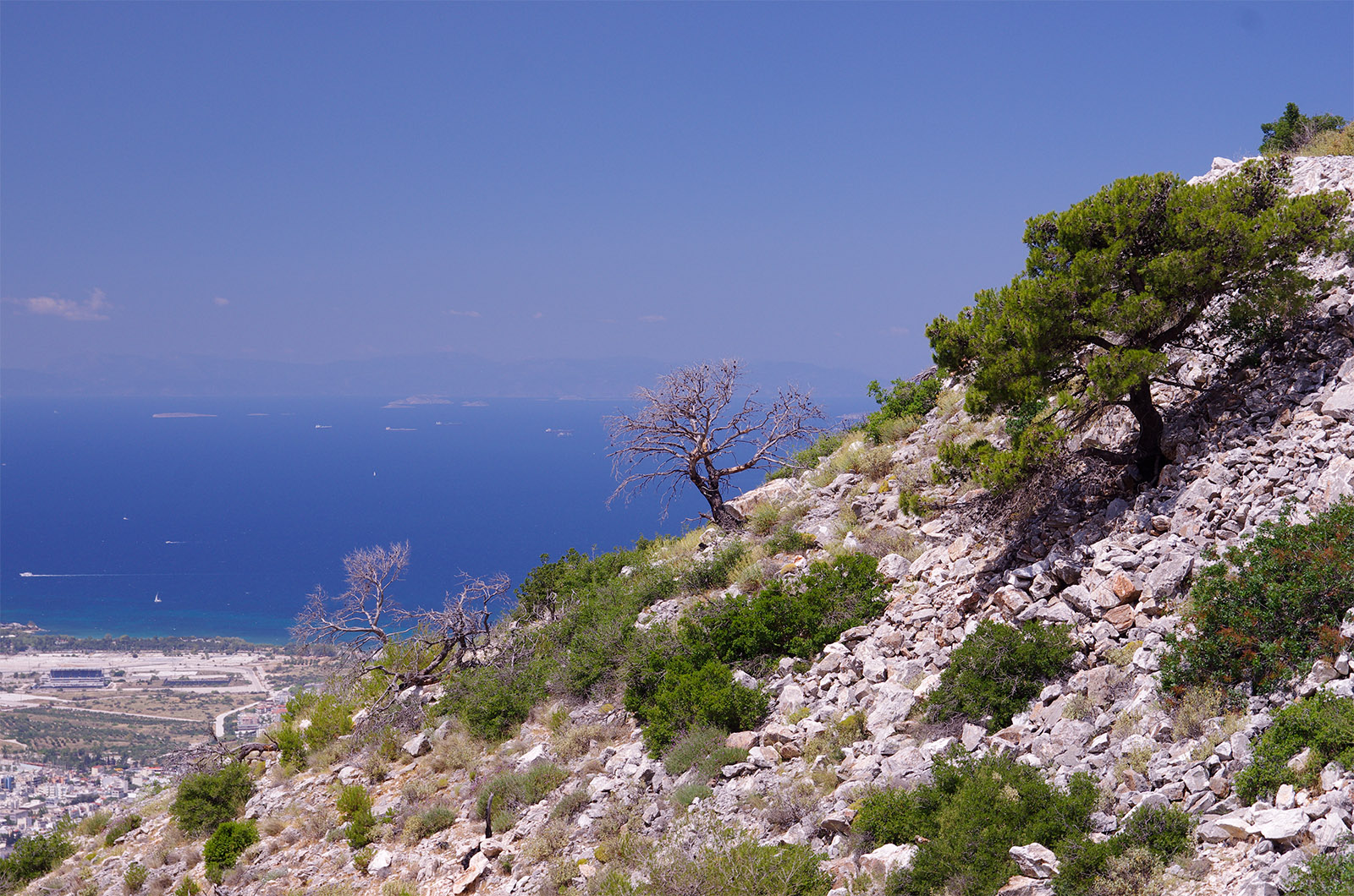 Archisearch Flourishing through the Ashes: Mount Ymitos as a Landscape Ruin by Alexandra Souvatzi | Winner of the Student Dissertation Award of the Landscape Institute 2022