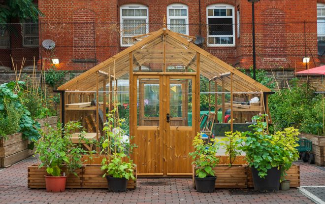 Lily's glasshouse in St.Luke's Community Center, where her workshops take place.