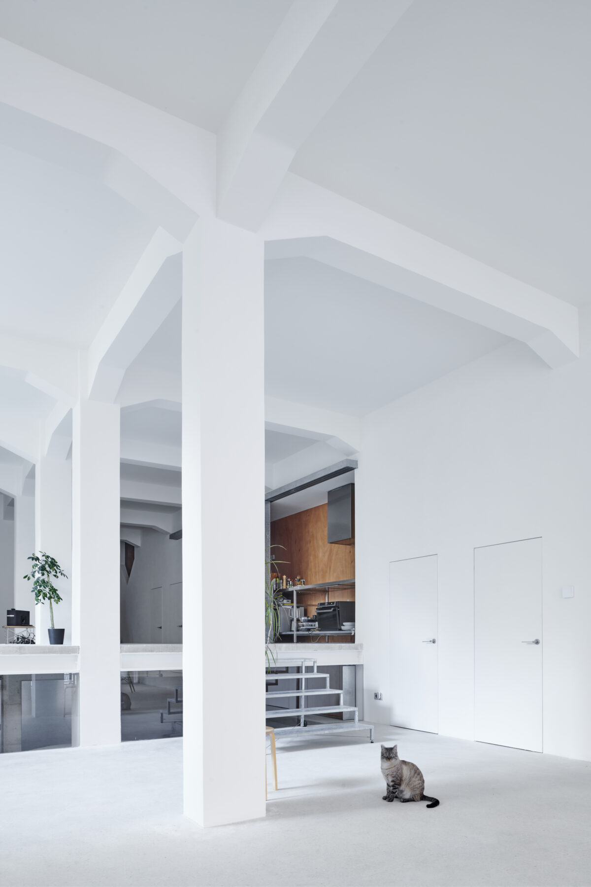 Archisearch Loft A in Pamplona, Spain by a r r o v a | atelier . rojo-vergara