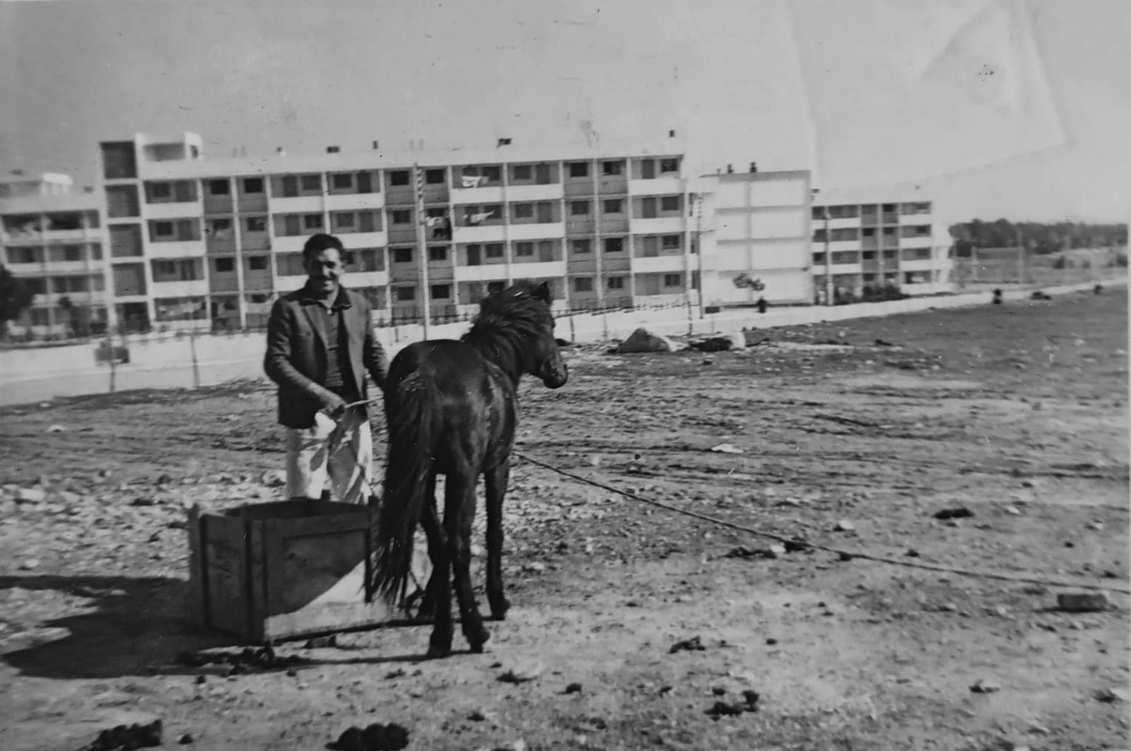 Archisearch Μετατρέποντας την Δημοτική Αγορά του Φοίνικα σε κέντρο κοινότητας | Διπλωματική Εργασία του Γ. Μπαρμπανά