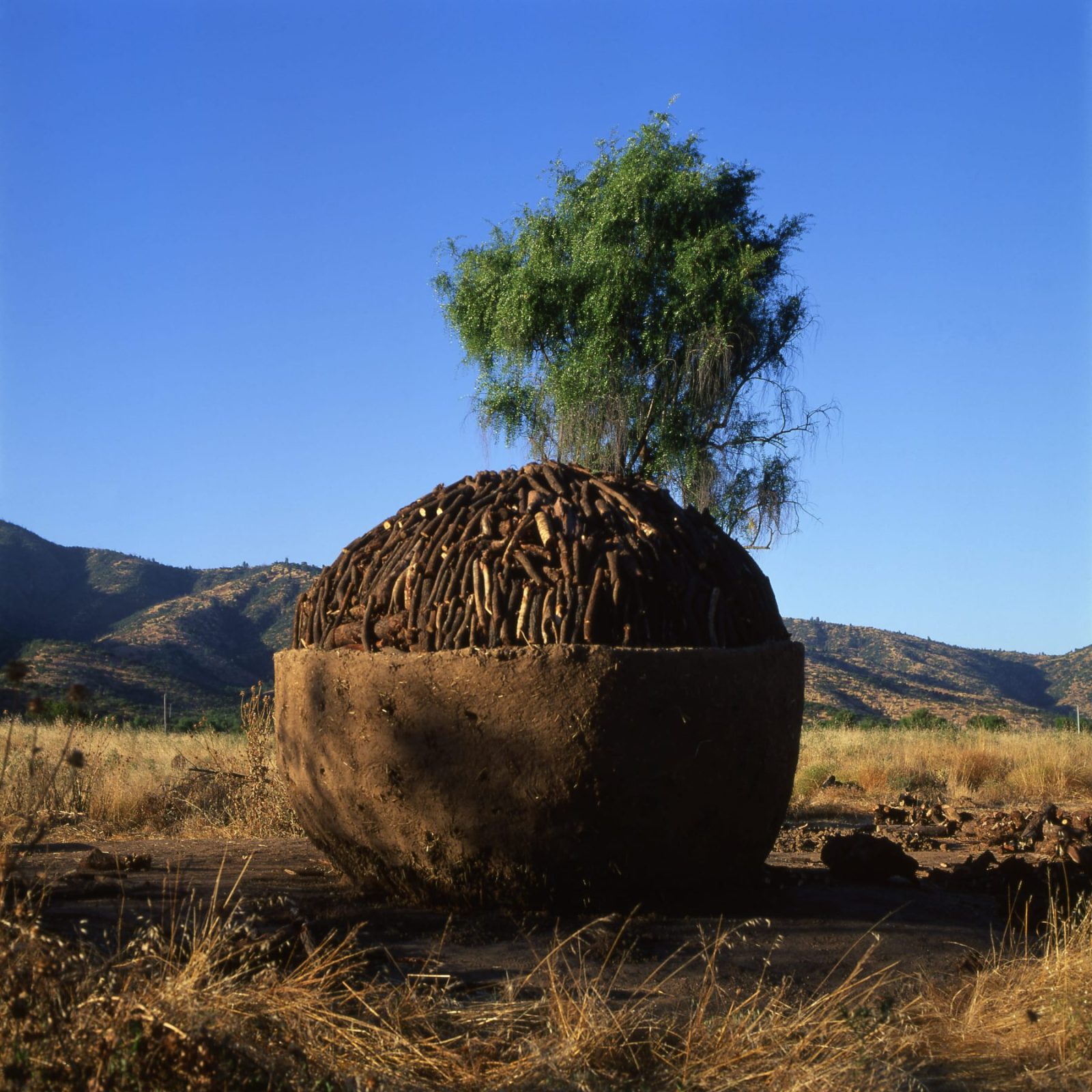 Archisearch New Projects by Pritzker Laureate Smiljan Radić Clarke