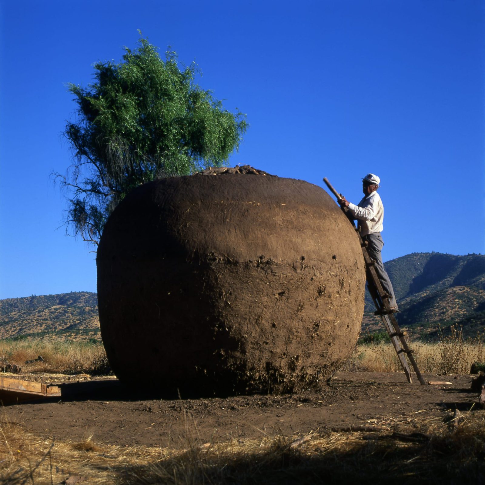 Archisearch New Projects by Pritzker Laureate Smiljan Radić Clarke