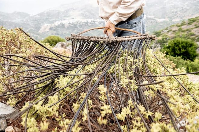 Archisearch The House of Handmade Crete: Where Our Hands Speak | An initiative by Isabella Zampetaki