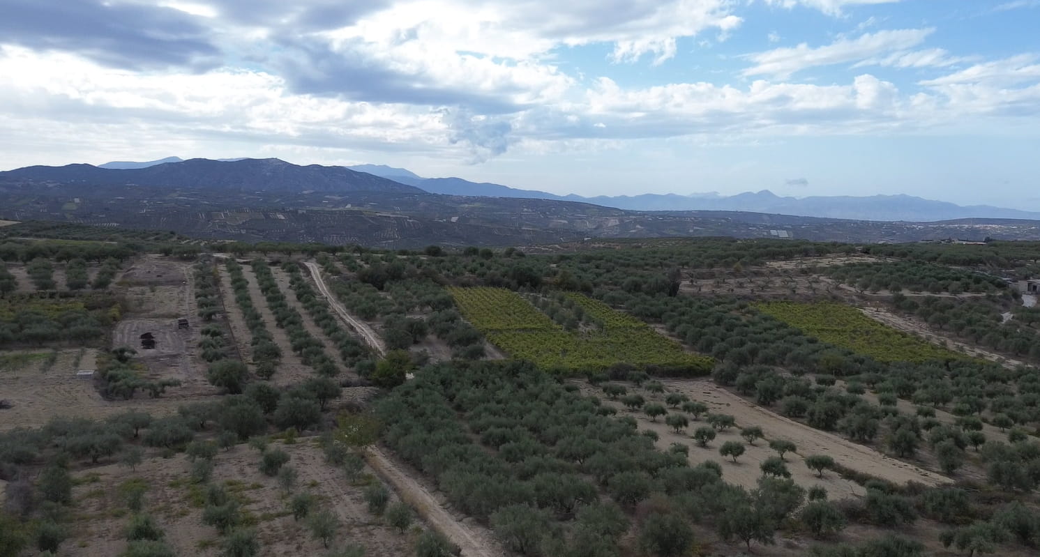 Archisearch The House of Handmade Crete: Where Our Hands Speak | An initiative by Isabella Zampetaki