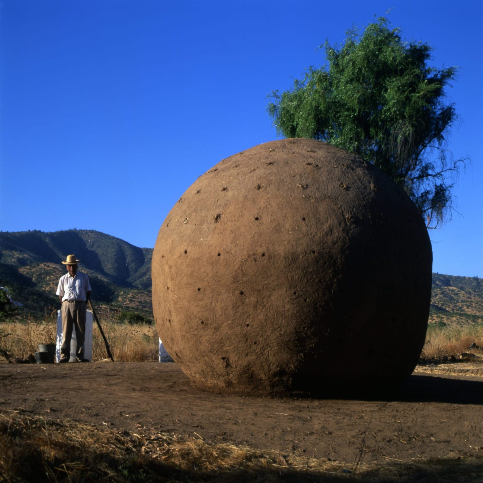 Archisearch New Projects by Pritzker Laureate Smiljan Radić Clarke