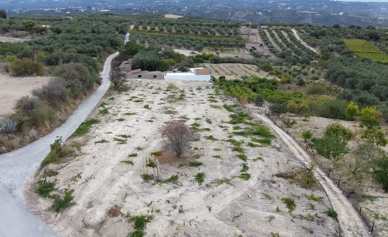 Archisearch The House of Handmade Crete: Where Our Hands Speak | An initiative by Isabella Zampetaki