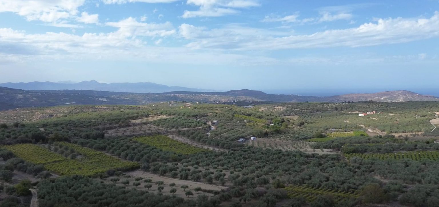 Archisearch The House of Handmade Crete: Where Our Hands Speak | An initiative by Isabella Zampetaki