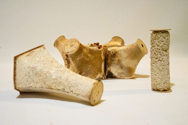 Archisearch - Biomaterials & Structures: Mycelium as a dynamic mean of interconnections between human, architecture and nature | Diploma thesis by Gavriilidis Eustathios 