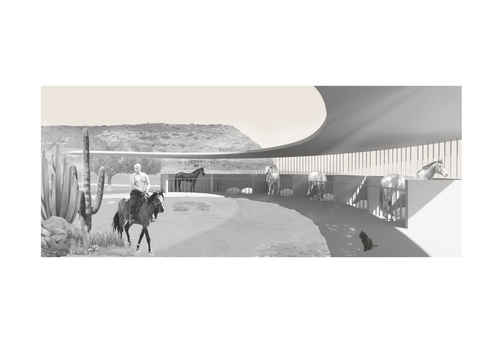 Fluid design ltd image