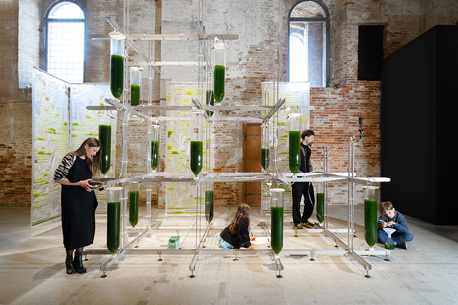 Archisearch BIT.BIO.BOT: a prototype dwelling and collective experiment in biotech architecture by ecoLogicStudio_17th International Architecture Exhibition of la Biennale di Venezia | 22 May – 21 November 2021