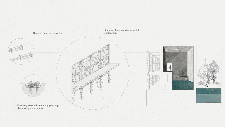 Archisearch The reinterpretation of baths in the contemporary city| Diploma thesis by: Zoe Despoina Papaoikonomou