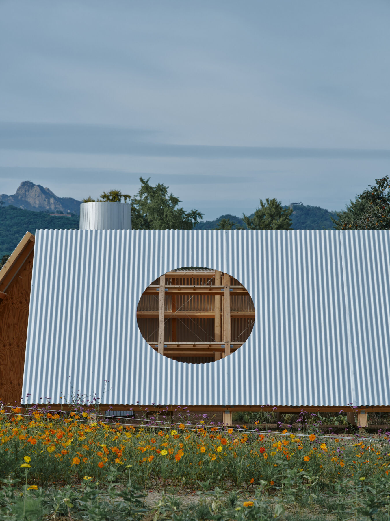 Archisearch The Outdoor Room in Seoul Biennale of Architecture | by Frank Barkow and salazarsequeromedina