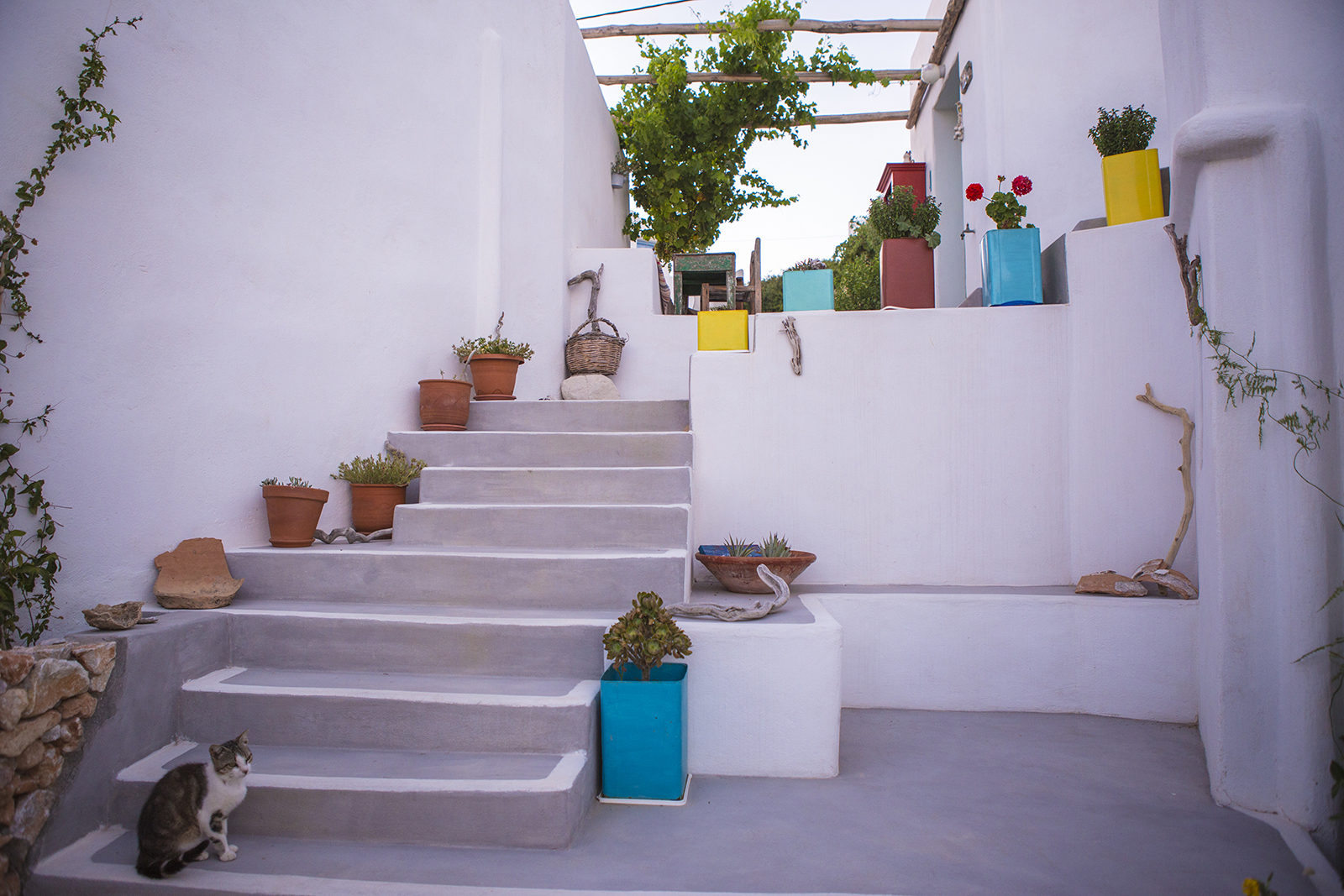 Archisearch ARGALIOS Guesthouse in Stavros, Donousa, Cyclades archipelago | Anka Arvanitidi - ECUALab