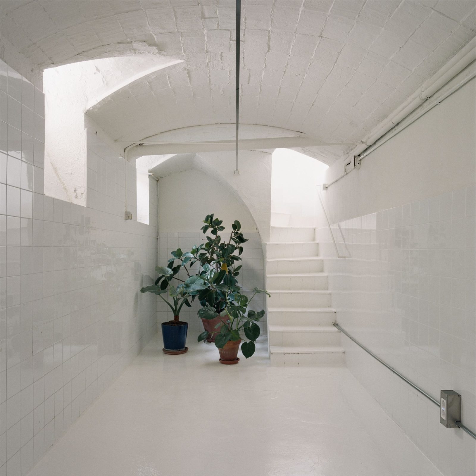 Archisearch Casa Jaume Bach Esteve in Barcelona by Aramé Studio is the Best House of the Year 2025 by Archisearch