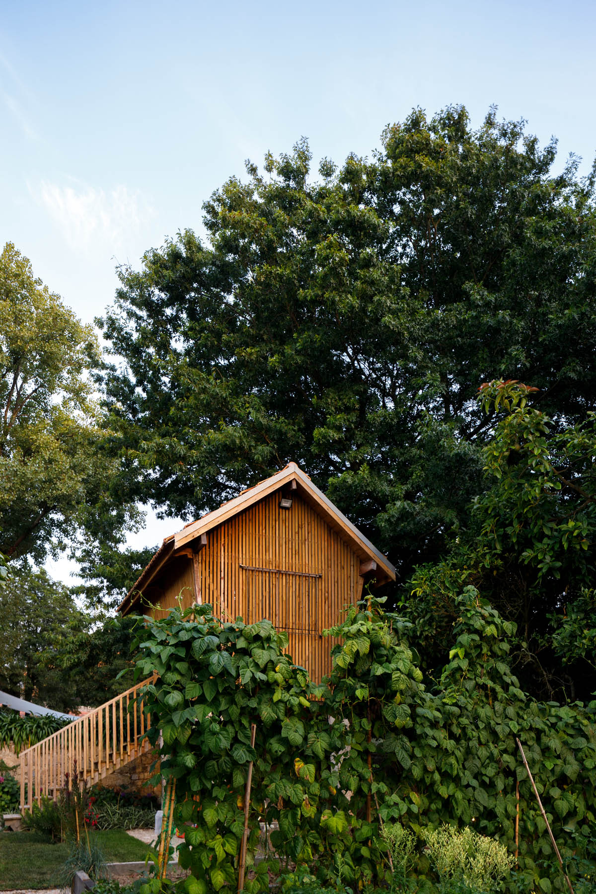 Archisearch Calçada House in Porto, Portugal | Ren Ito Arq.