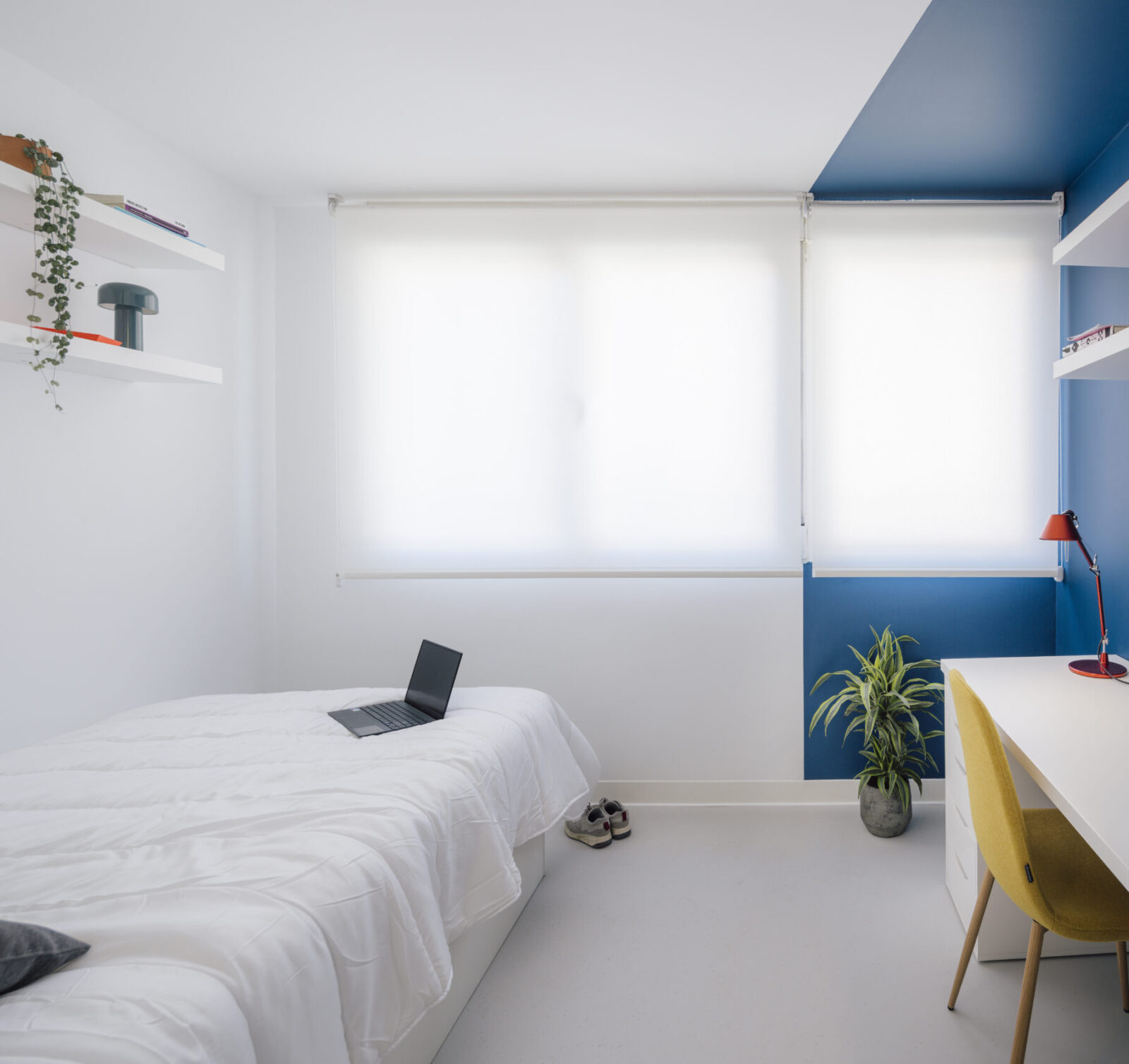 Archisearch Dozen doors - Renovation for a co-living in the Tetuan neighborhood by gon architects