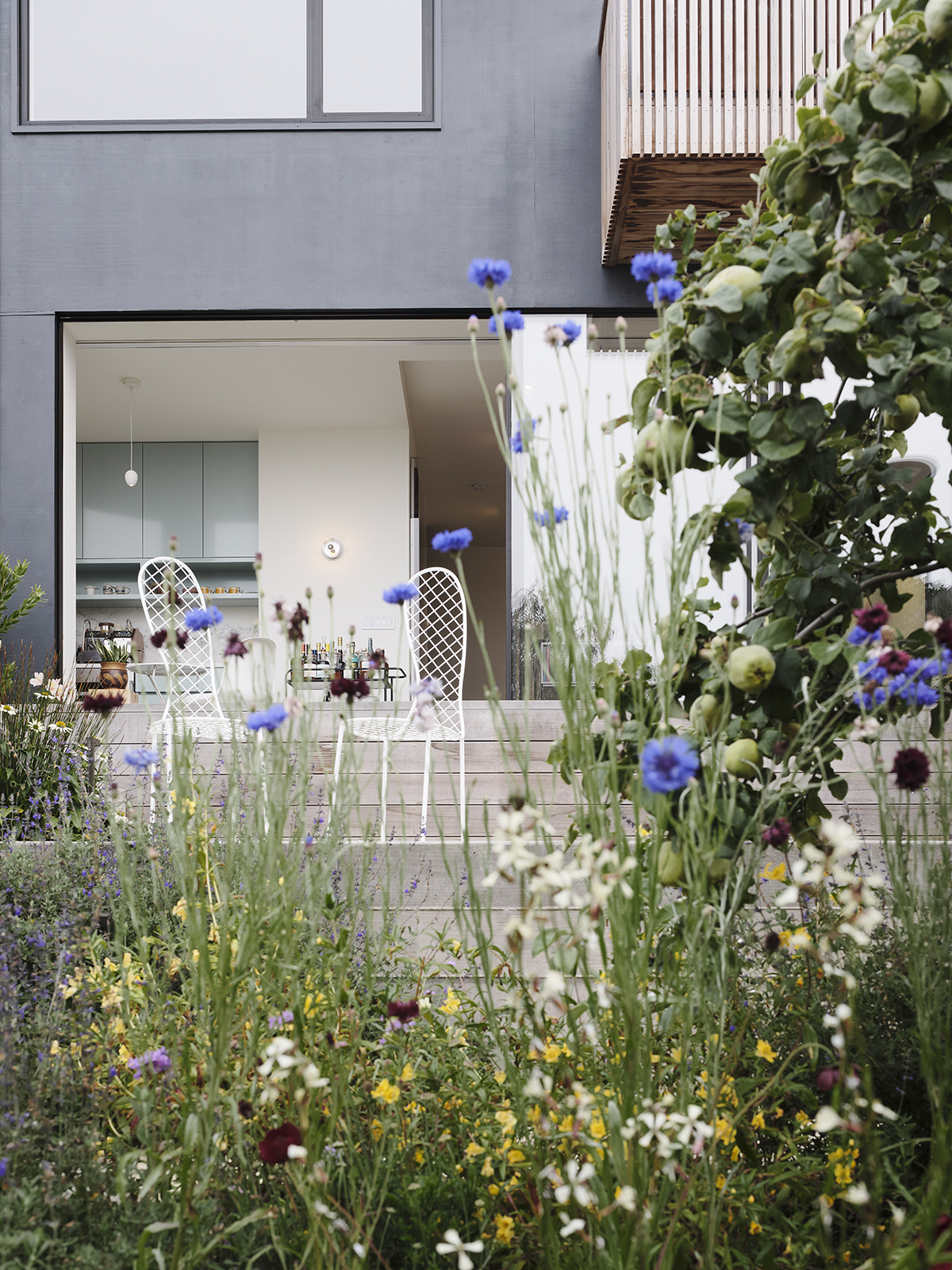 Archisearch Redwood House in California recently renovated by Studio Terpeluk