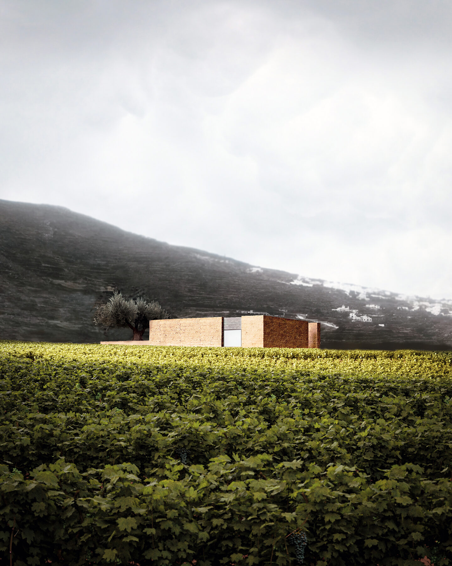 Archisearch Terra Dionysia wine hotel in Santorini | by Nysa Architects