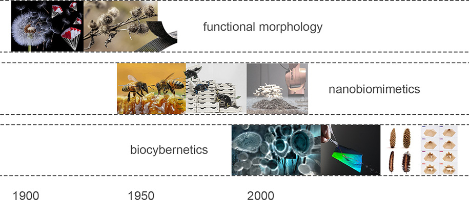 diploma thesis architecture