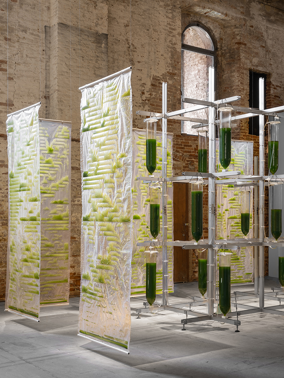 Archisearch BIT.BIO.BOT: a prototype dwelling and collective experiment in biotech architecture by ecoLogicStudio_17th International Architecture Exhibition of la Biennale di Venezia | 22 May – 21 November 2021