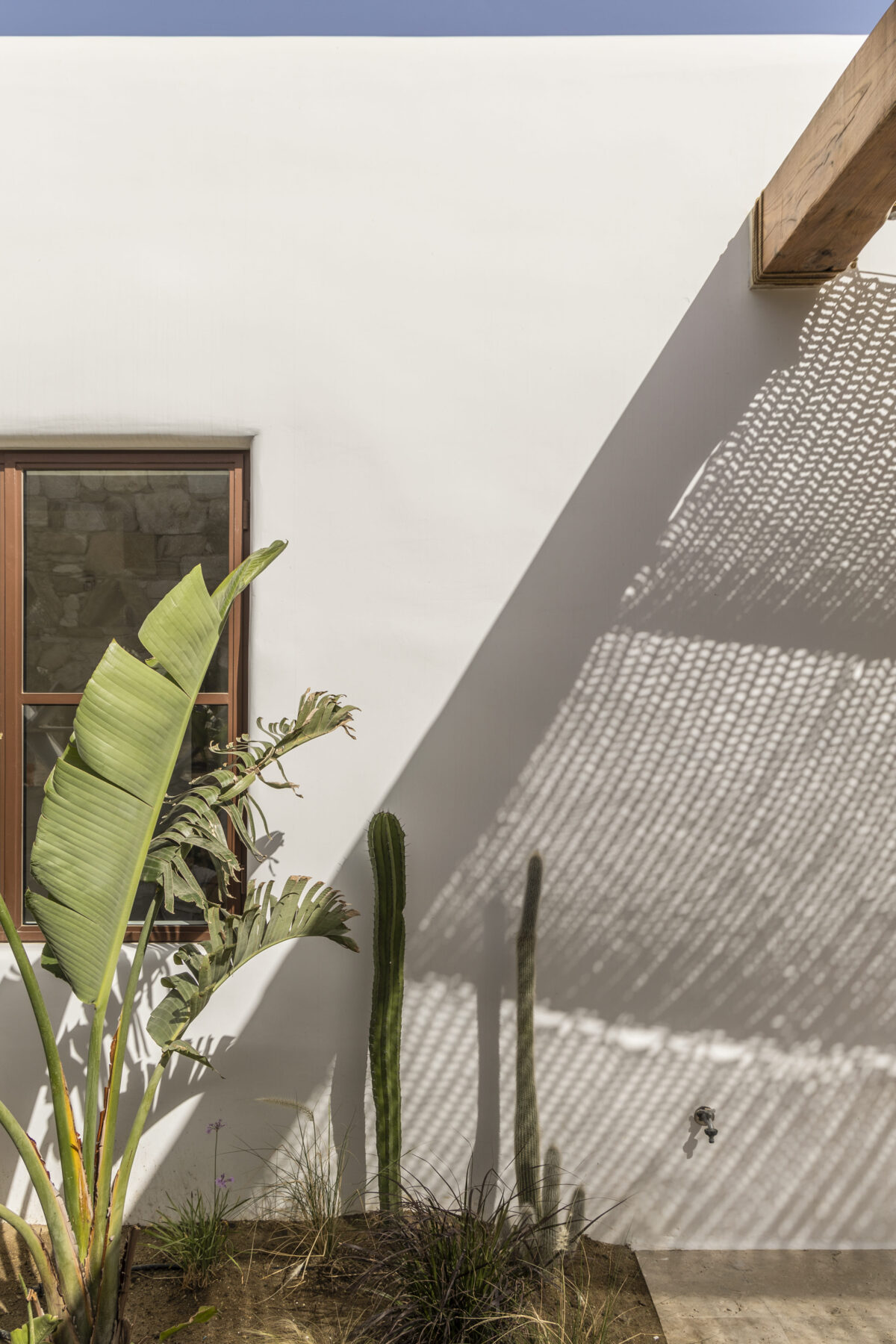Archisearch 
