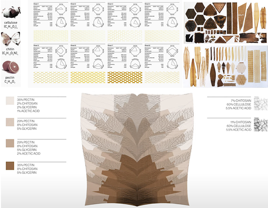 Archisearch “Naturalizing” Architecture: Biomimetic approaches to architectural design | Diploma Research Thesis by Athanasia Kloura and Emmanouela Myrtaki