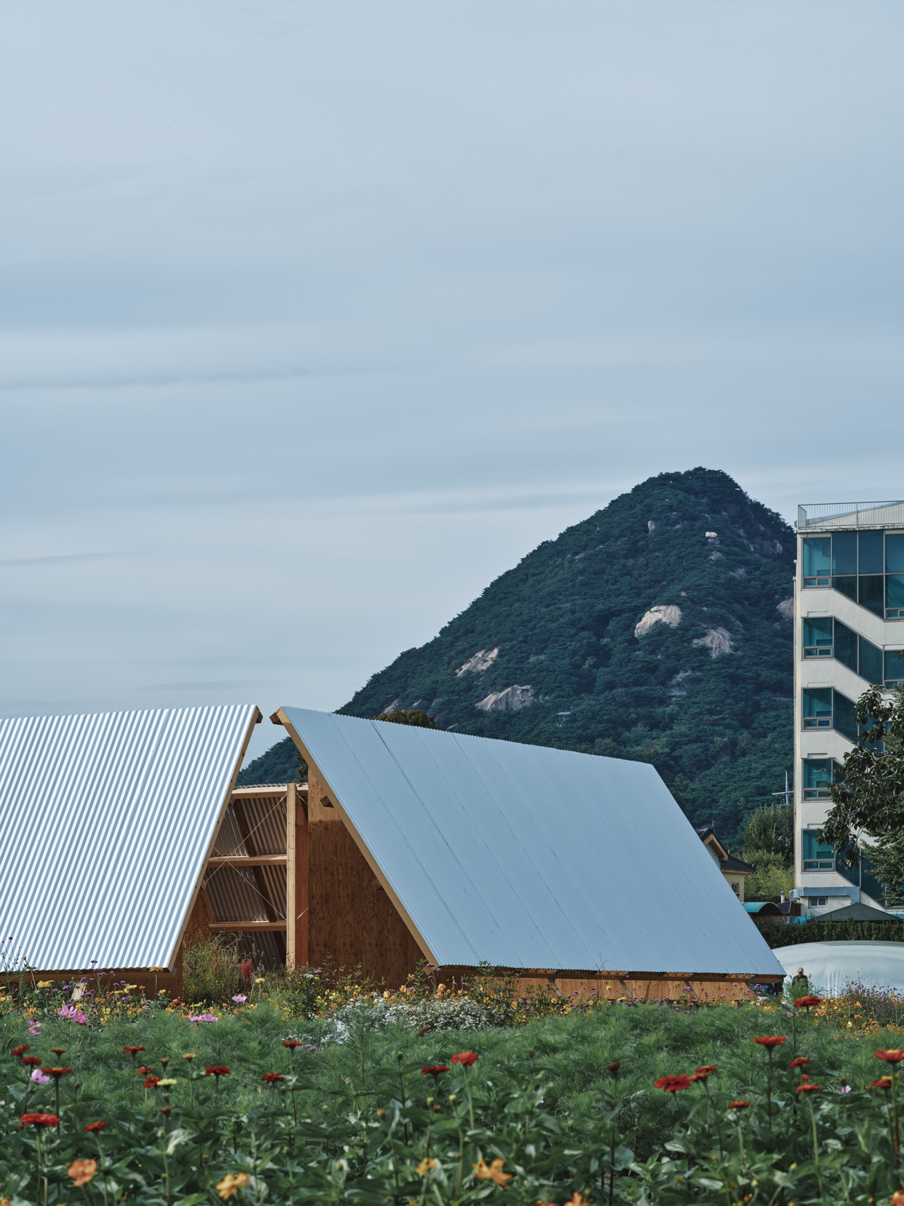 Archisearch The Outdoor Room in Seoul Biennale of Architecture | by Frank Barkow and salazarsequeromedina