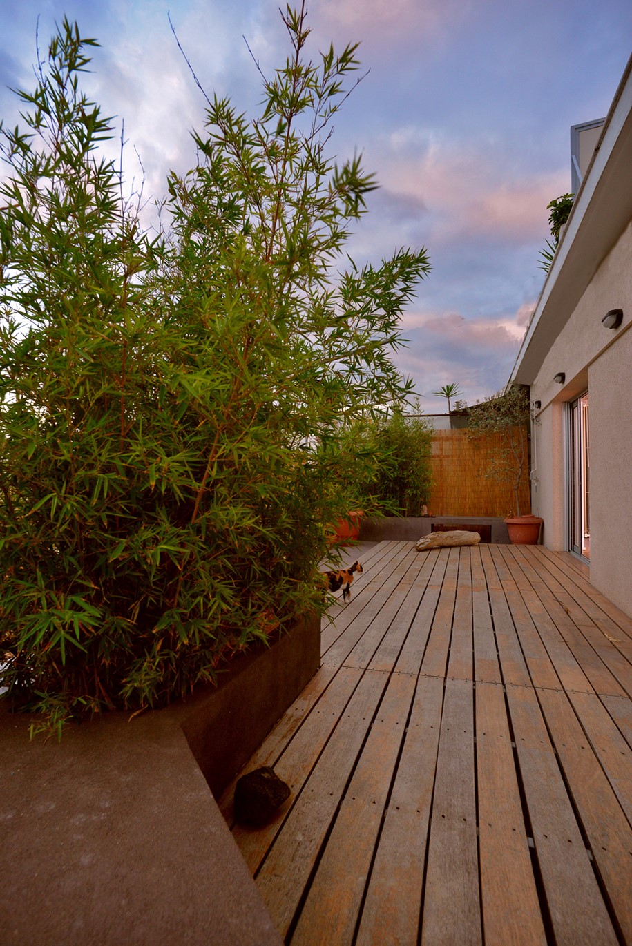 Archisearch ARCHITECTURAL BUREAU 3 renovated a 1977 rooftop apartment in Neapoli, Athens