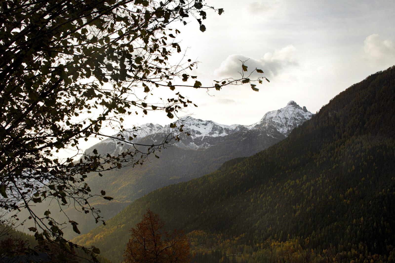 Archisearch House Cinsc: a retreat among the peaks of the Italian Alps by ATOMAA