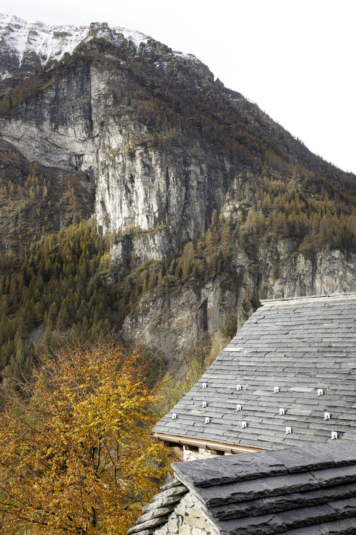 Archisearch House Cinsc: a retreat among the peaks of the Italian Alps by ATOMAA