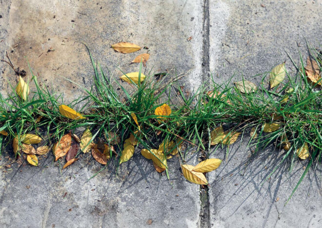 Archisearch - Ο Δημήτρης Φιλιππίδης οραματίζεται το Αττικό τοπίο του μέλλοντος | Παρουσίαση από την αρχιτέκτονα Μυρτώ Κιούρτη