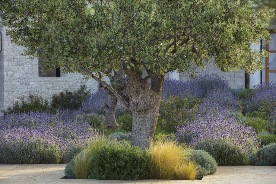 Amanzoe Luxury Hotel & Resort, Edward Tuttle, Designrealization, Doxiadis+ landscape architects, Porto Heli, Argolis, Greece