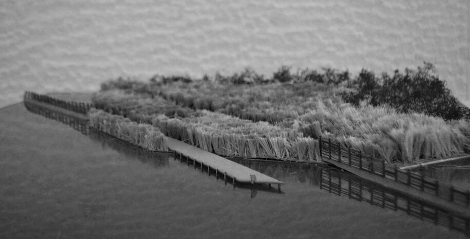 Archisearch INTERFERING IN-BETWEEN_Landscape Interventions in the Wetlands of Gialova | Diploma thesis by Anna Tsoka