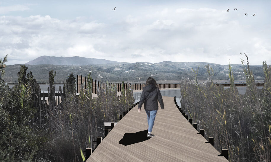 Archisearch INTERFERING IN-BETWEEN_Landscape Interventions in the Wetlands of Gialova | Diploma thesis by Anna Tsoka
