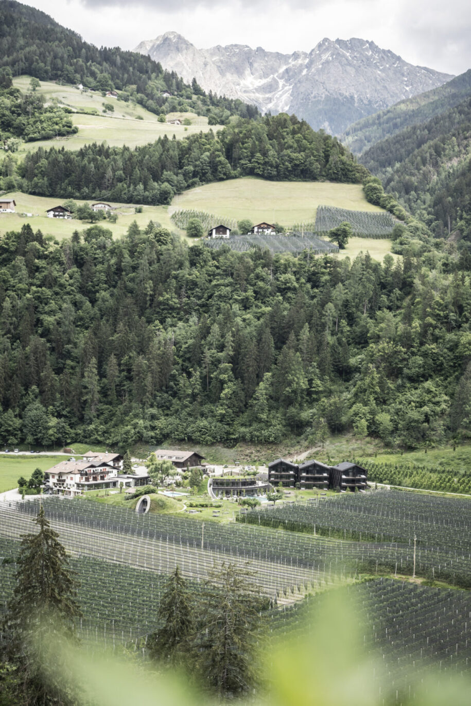 Archisearch Apfelhotel Torgglerhof in South Tyrol | noa* network of architecture