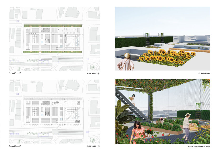 Archisearch Athenian Centralities: Redefining the Long Walls | Diploma thesis by Maria Lakoumenta