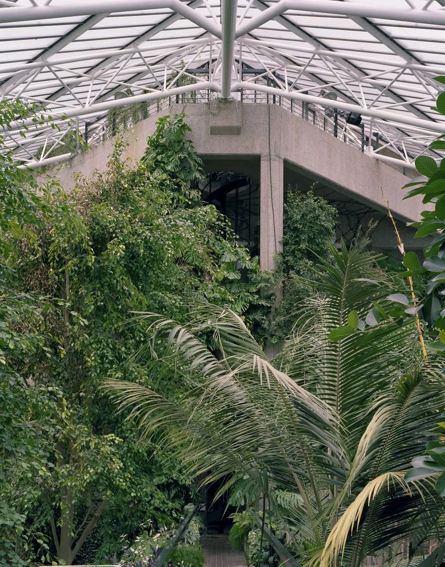 Archisearch The Exotic Brutalism of the Barbican Conservatory Depicted by Luke Hayes