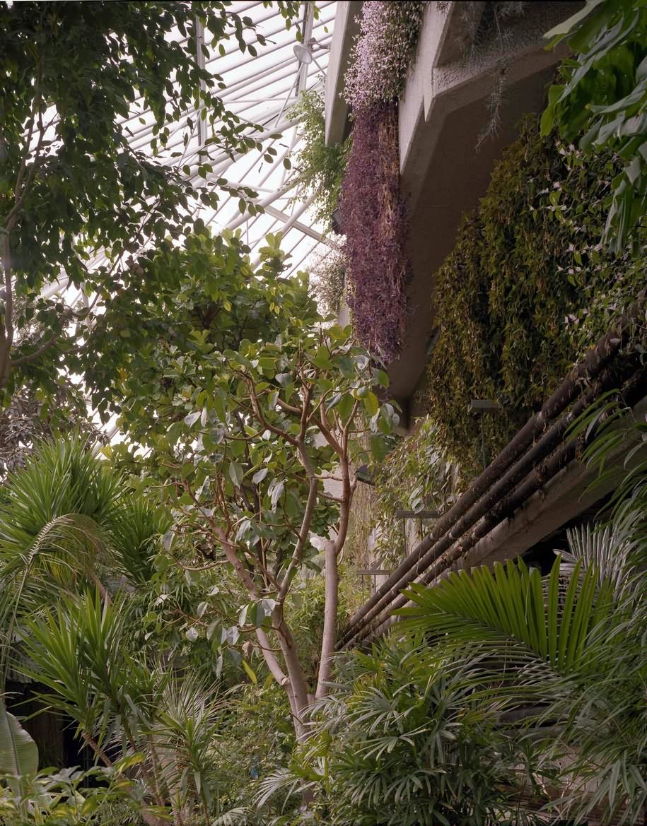 Archisearch The Exotic Brutalism of the Barbican Conservatory Depicted by Luke Hayes