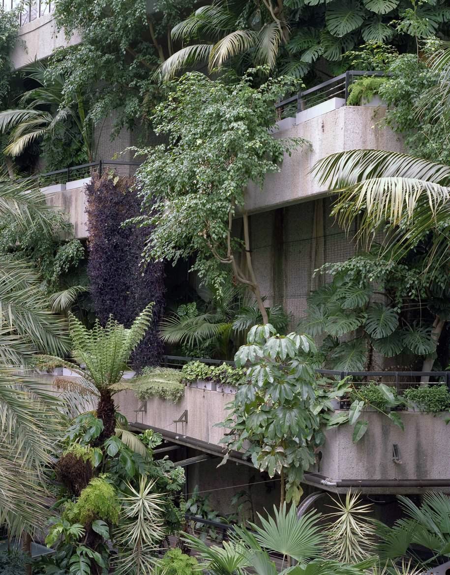Archisearch The Exotic Brutalism of the Barbican Conservatory Depicted by Luke Hayes