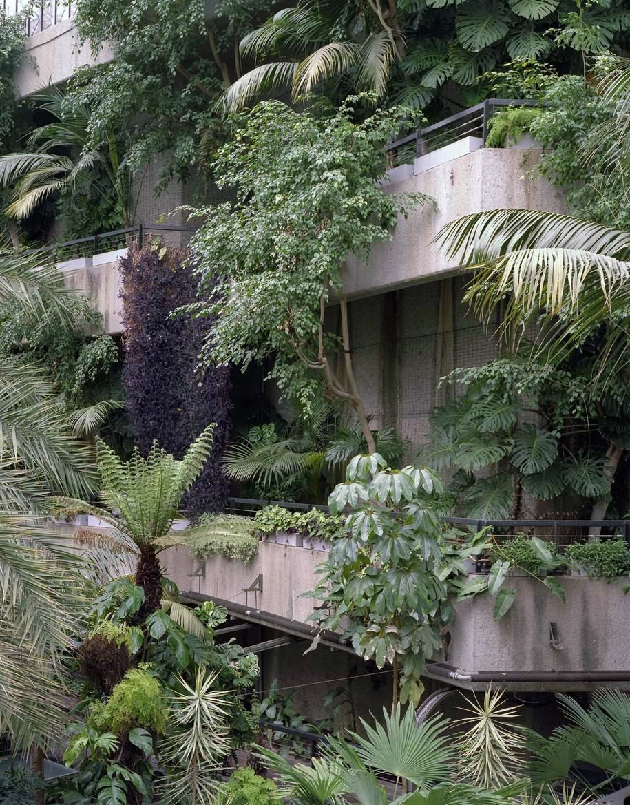 Barbican, Conservatory, Luke Hayes, photography, London, brutalism, modernism