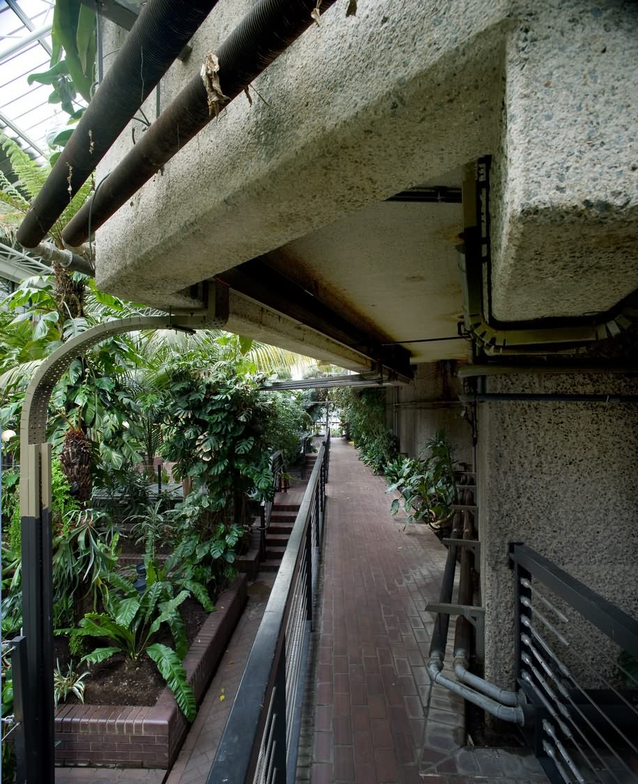 Archisearch The Exotic Brutalism of the Barbican Conservatory Depicted by Luke Hayes