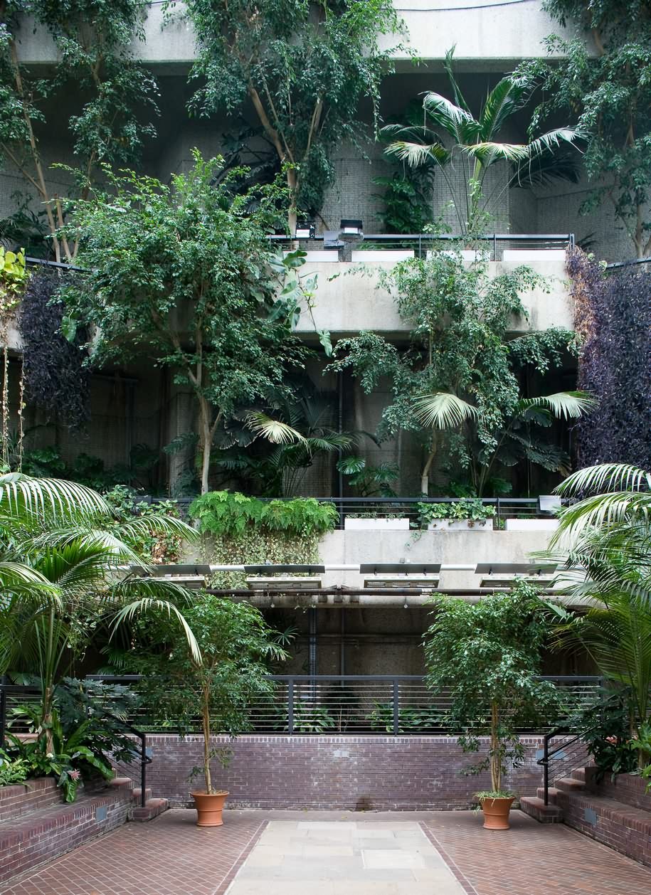 Barbican, Conservatory, Luke Hayes, photography, London, brutalism, modernism